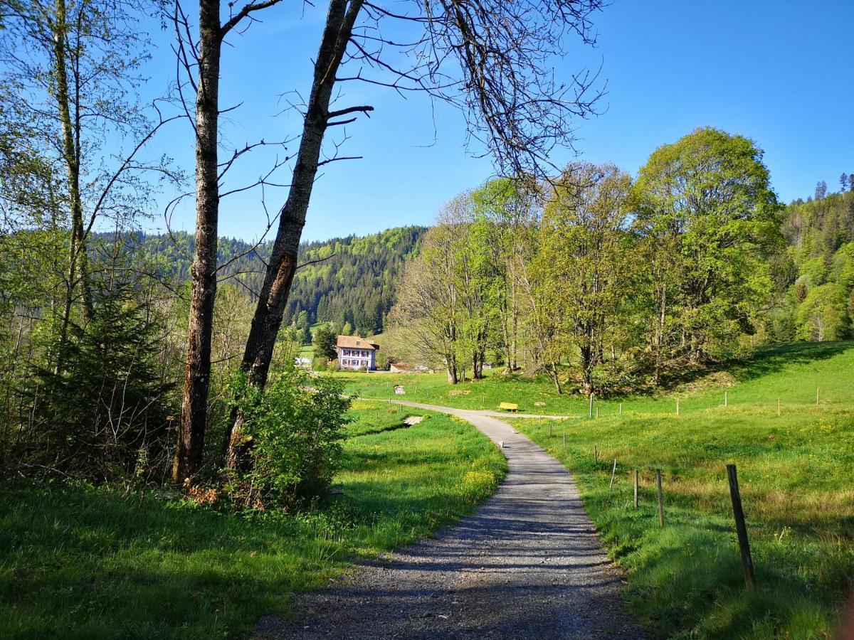 B4 Albmatte Lägenhet Menzenschwand-Hinterdorf Exteriör bild