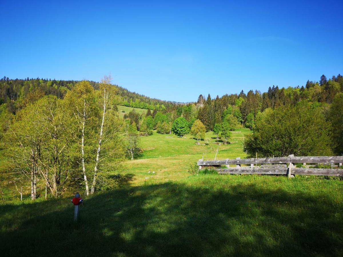 B4 Albmatte Lägenhet Menzenschwand-Hinterdorf Exteriör bild