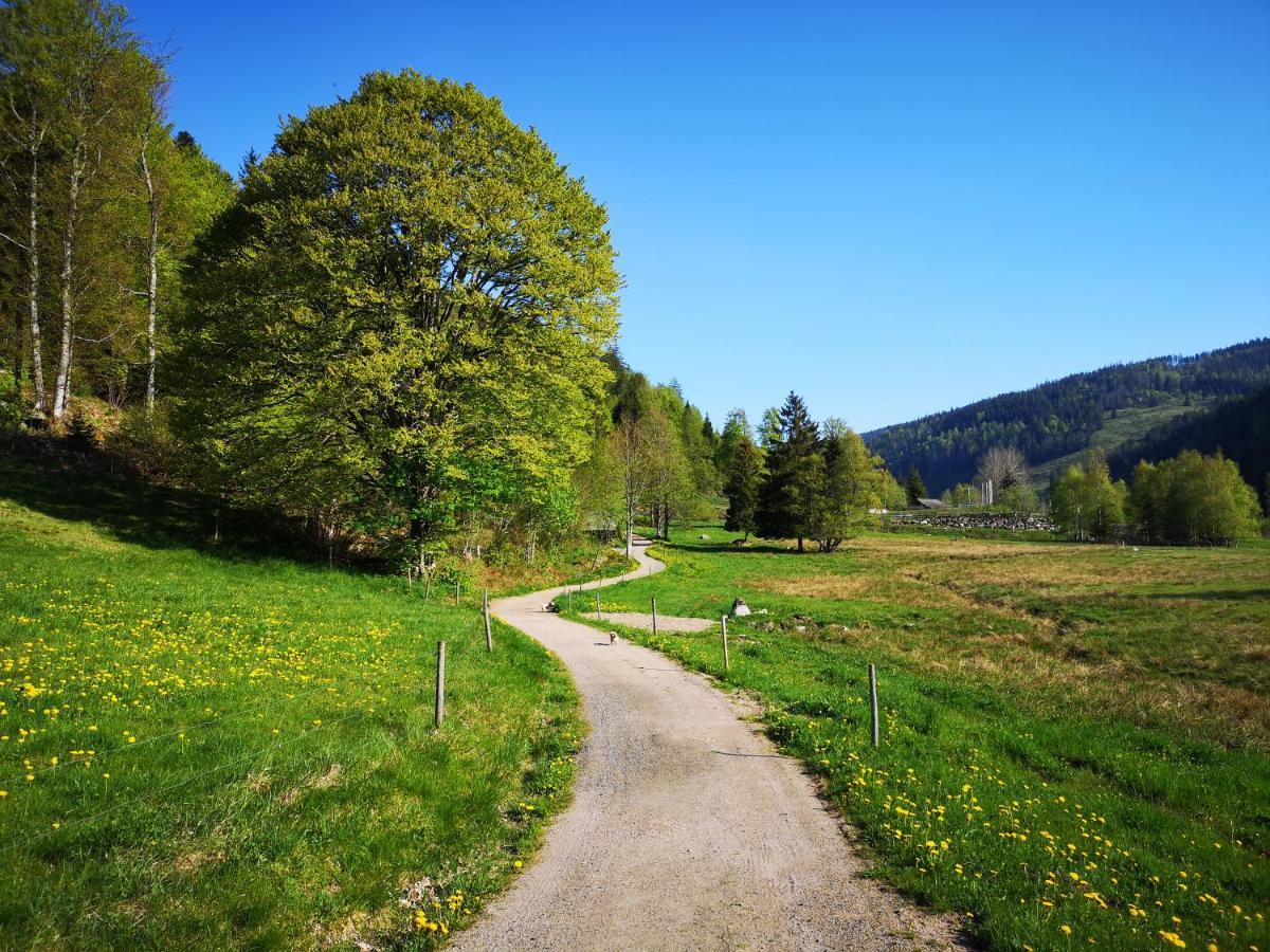B4 Albmatte Lägenhet Menzenschwand-Hinterdorf Exteriör bild