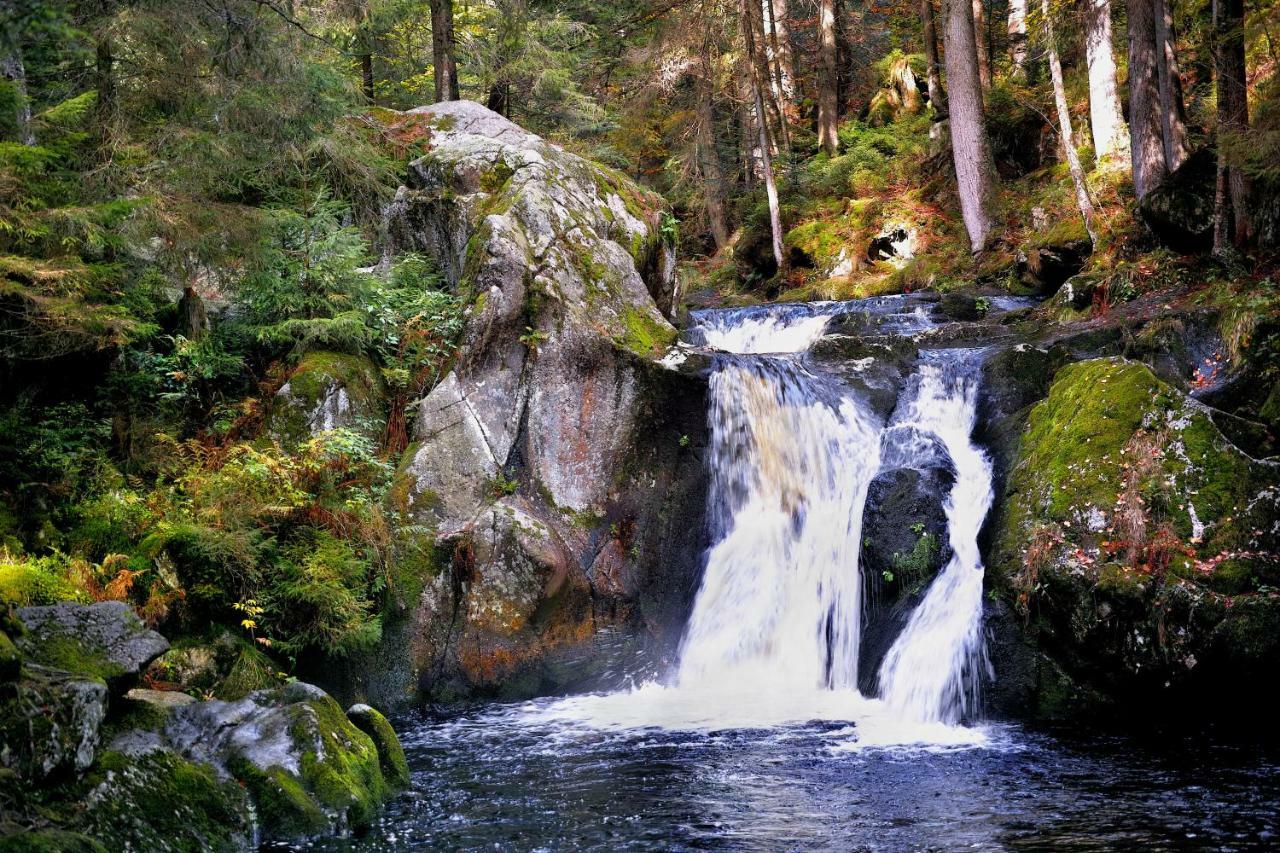 B4 Albmatte Lägenhet Menzenschwand-Hinterdorf Exteriör bild