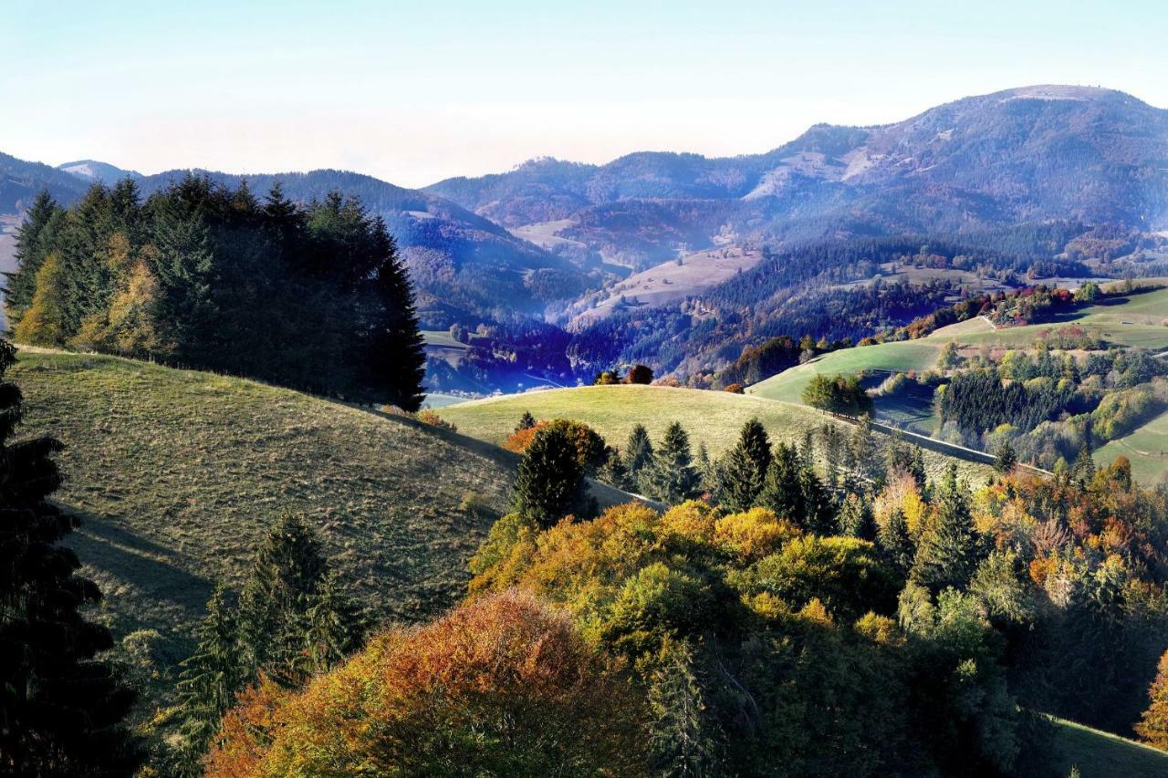 B4 Albmatte Lägenhet Menzenschwand-Hinterdorf Exteriör bild
