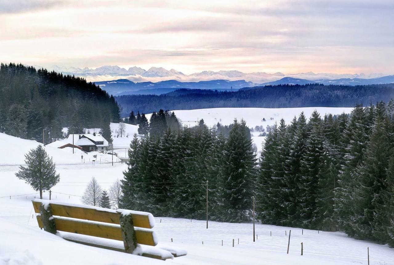 B4 Albmatte Lägenhet Menzenschwand-Hinterdorf Exteriör bild