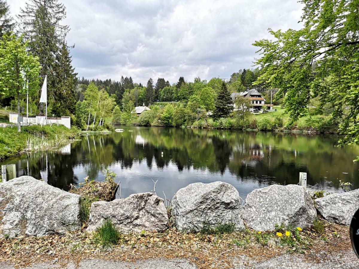 B4 Albmatte Lägenhet Menzenschwand-Hinterdorf Exteriör bild