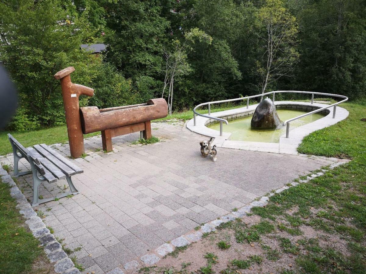 B4 Albmatte Lägenhet Menzenschwand-Hinterdorf Exteriör bild