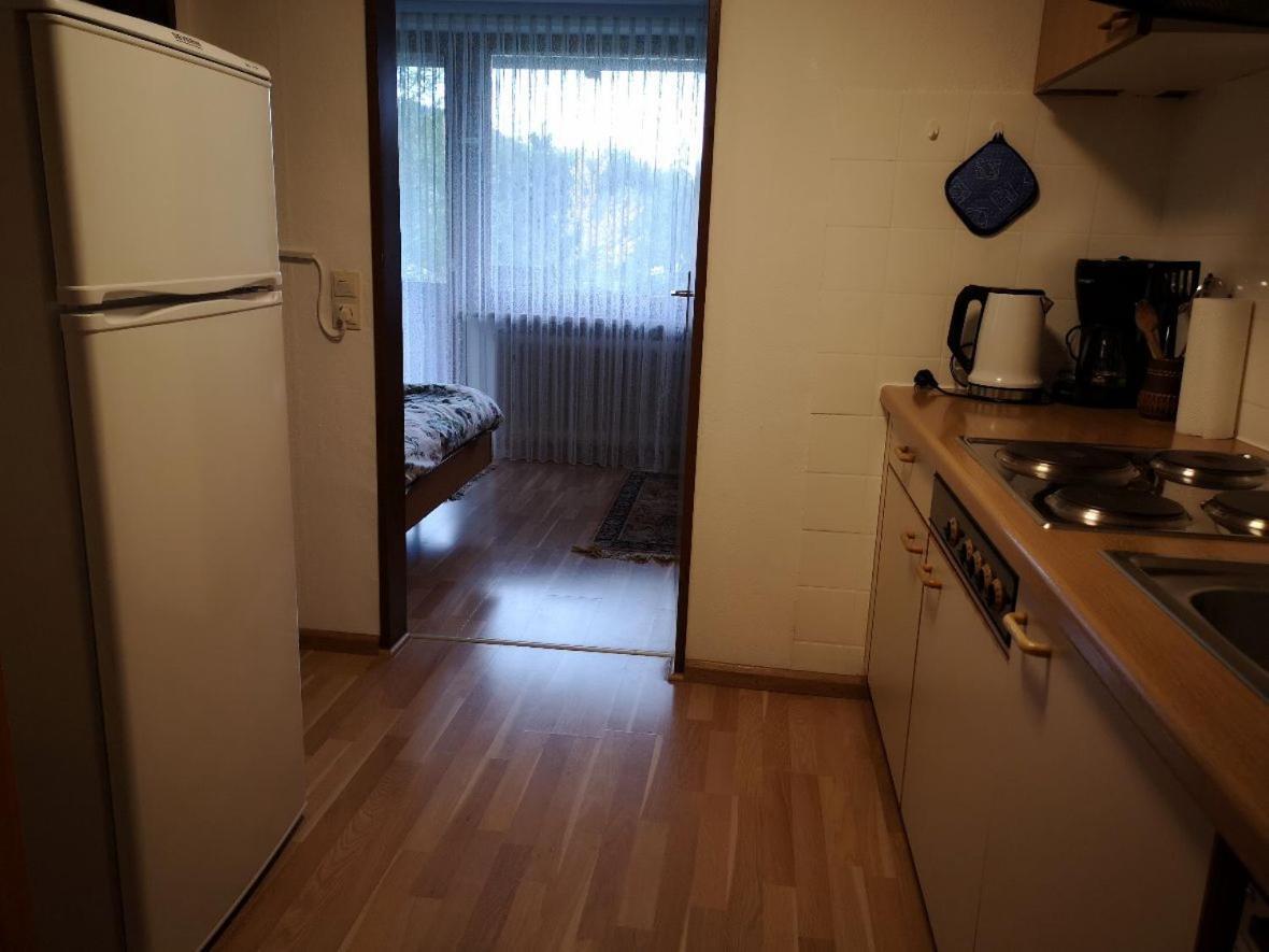 B4 Albmatte Lägenhet Menzenschwand-Hinterdorf Exteriör bild