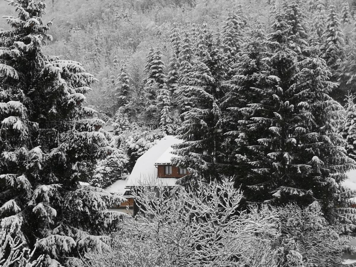 B4 Albmatte Lägenhet Menzenschwand-Hinterdorf Exteriör bild